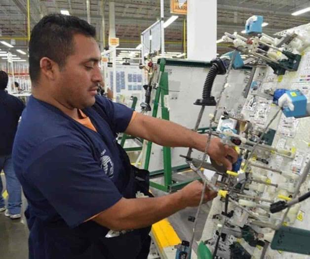 Solicitan que se mantenga la estabilidad en el empleo