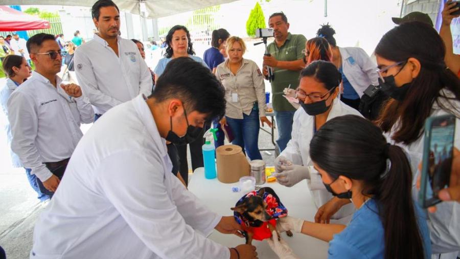 Exitosa inauguración de la Jornada de Vacunación y Desparasitación para mascotas en Reynosa