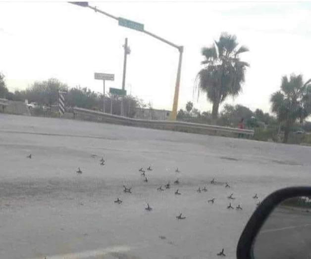 Se registran balaceras en Reynosa