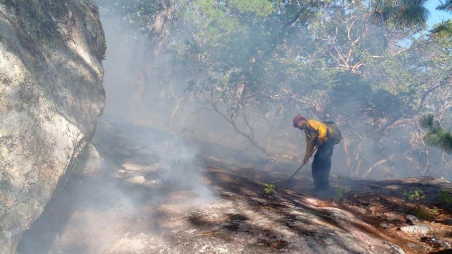 Protección Civil Tamaulipas y CONAFOR controlan incendio