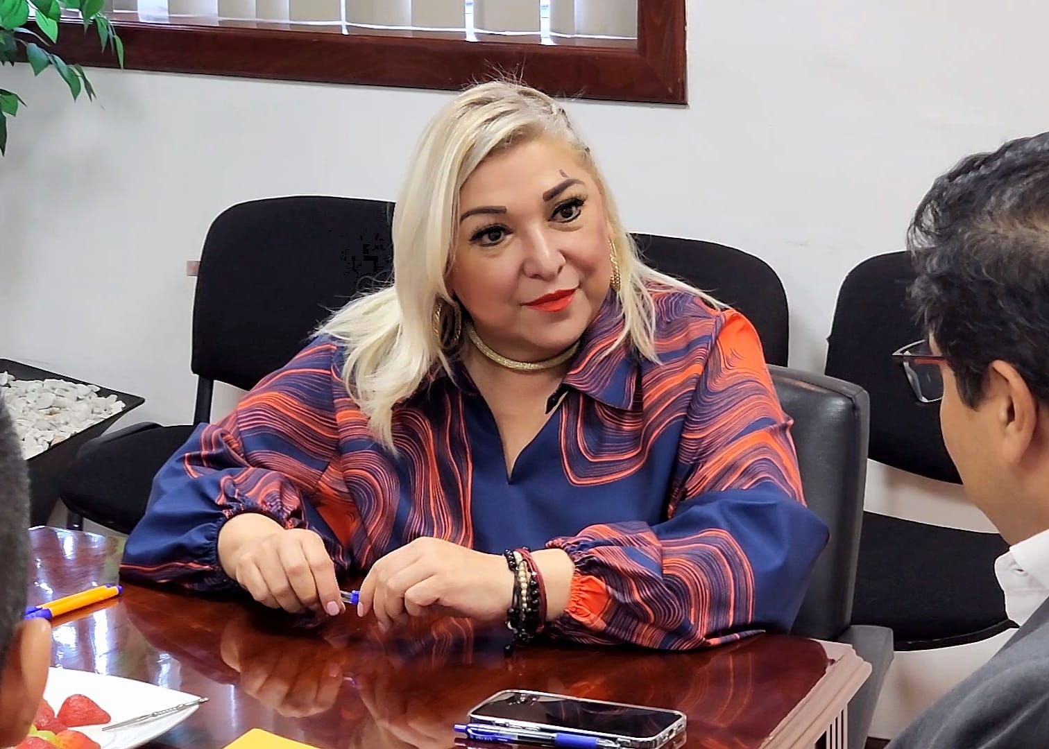 Creará secretaría de finanzas programa estatal del síndico del contribuyente: Adriana Lozano