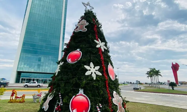 Navidad Tamaulipas