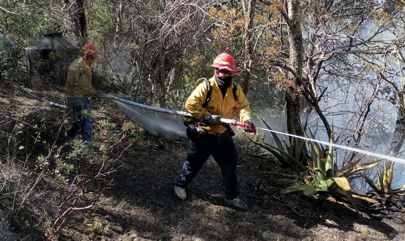 Extinguen incendios forestales en El Mante y Miquihuana, Tamaulipas