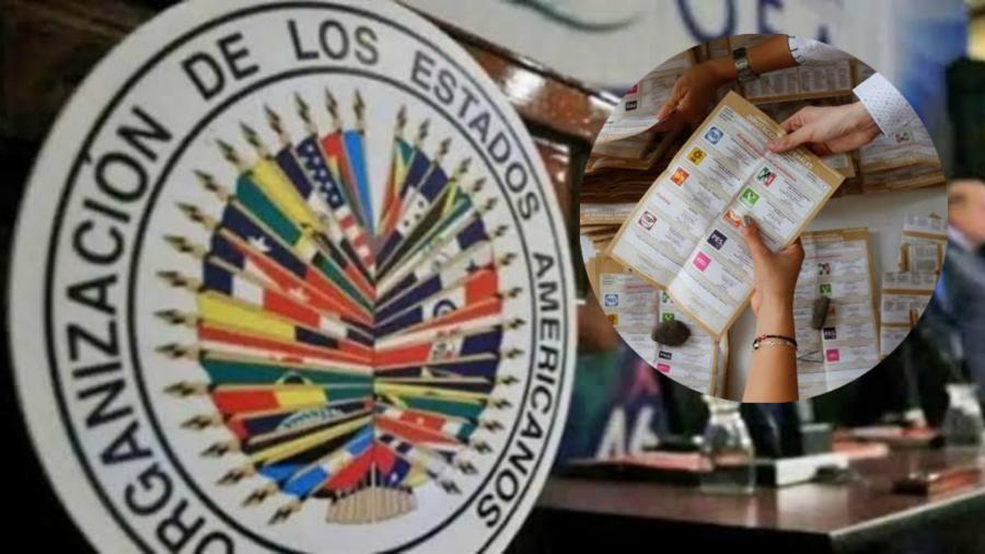 INE pacta para que OEA observe durante elecciones