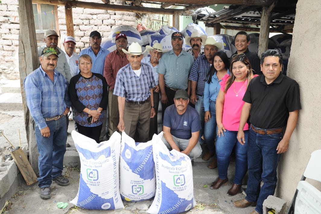 Reciben productores del altiplano semilla de avena forrajera