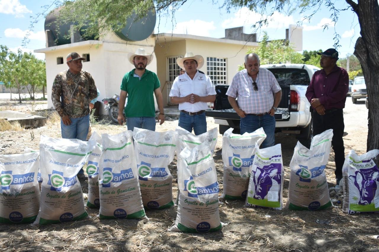 Productores de González reciben suplementos alimenticios para el ganado