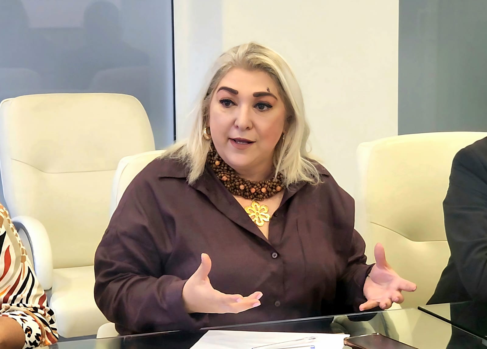 Tamaulipas Reciben más de mil 57 MDP por la regularización de autos: Adriana Lozano