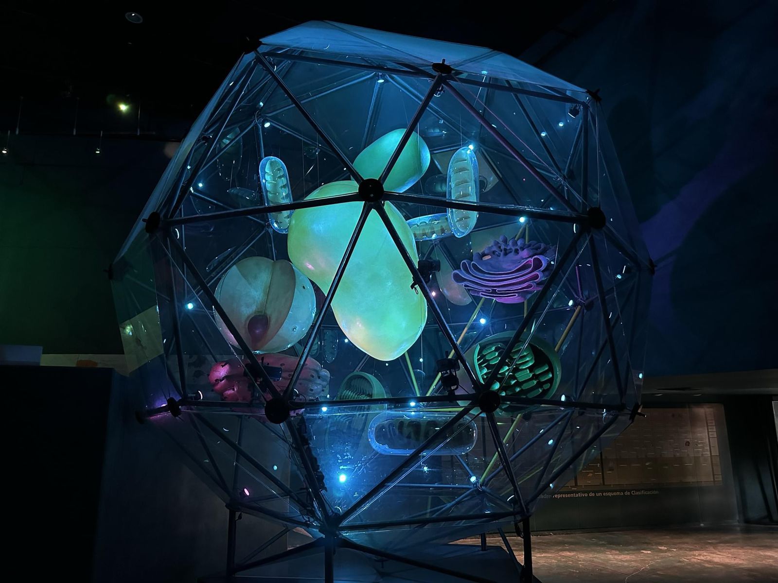 Sorpréndete y conoce con los museos de Tamaulipas