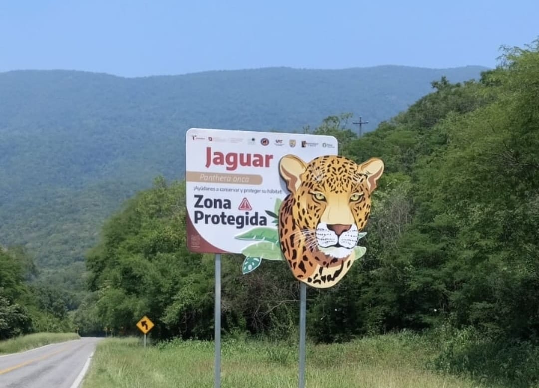 Comisión de Parques Coloca señalética para evitar atropellamientos de fauna