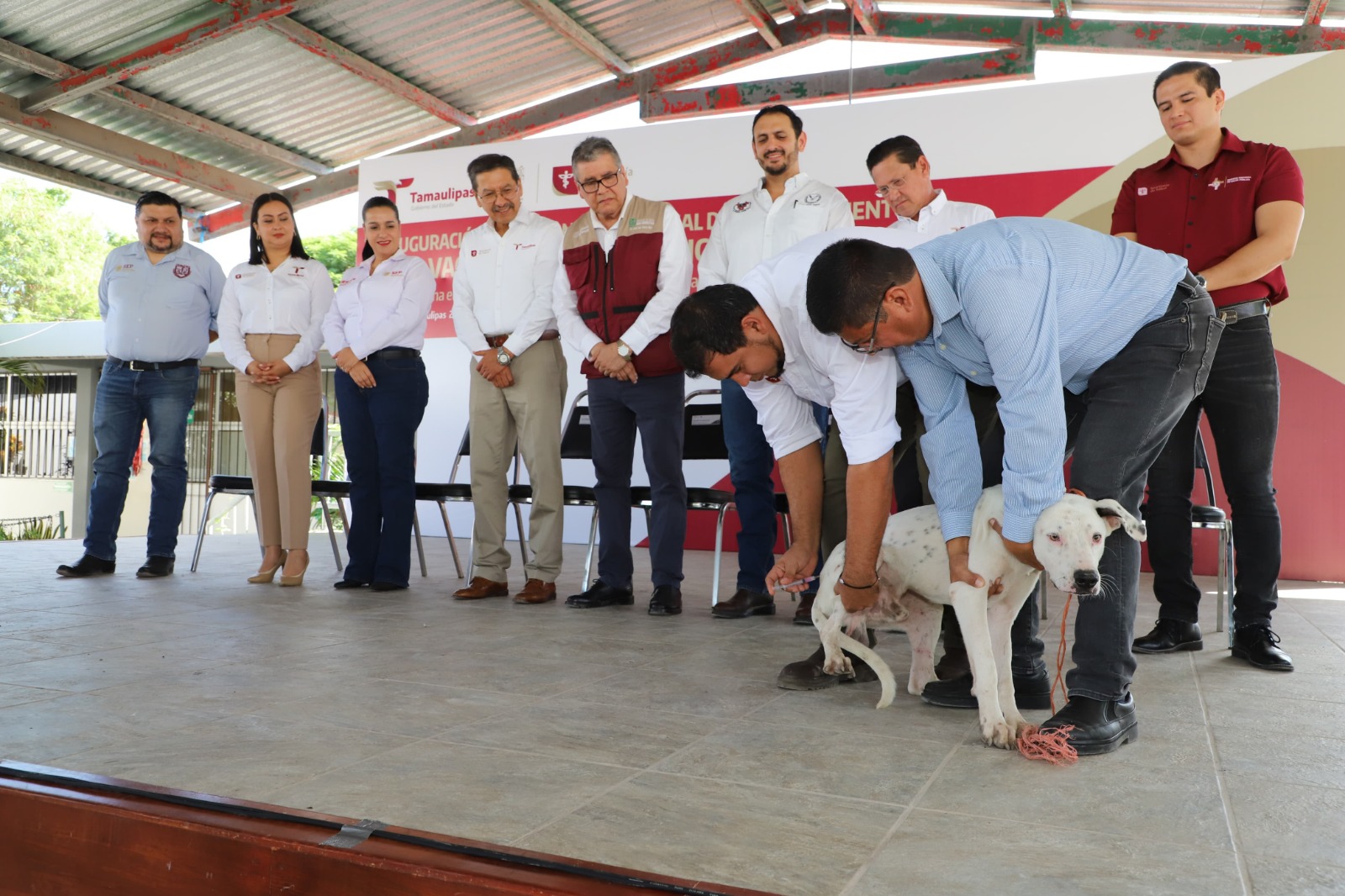 SST Pide vacunar perros y gatos en el marco de la Jornada de Vacunación Antirrábica
