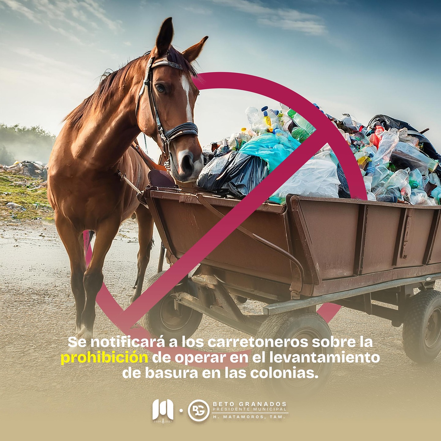 Alcalde Beto Granados dijo que buscan ser el primer municipio en Tamaulipas en implementar esta medida y proteger a los animales