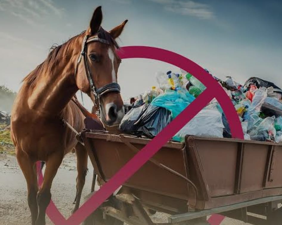El alcalde Beto Granados a favor de la protección animal: «No se permitirá más la recolección de basura con equinos»