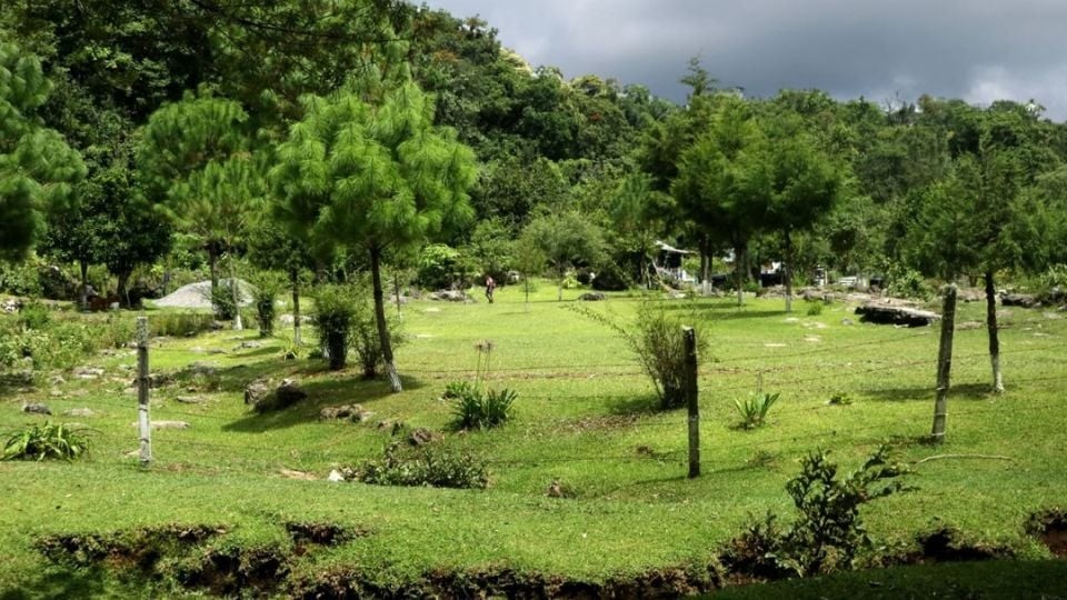 Compromiso ecológico: Medio Ambiente y Congreso buscan fortalecer el desarrollo sostenible en Tamaulipas