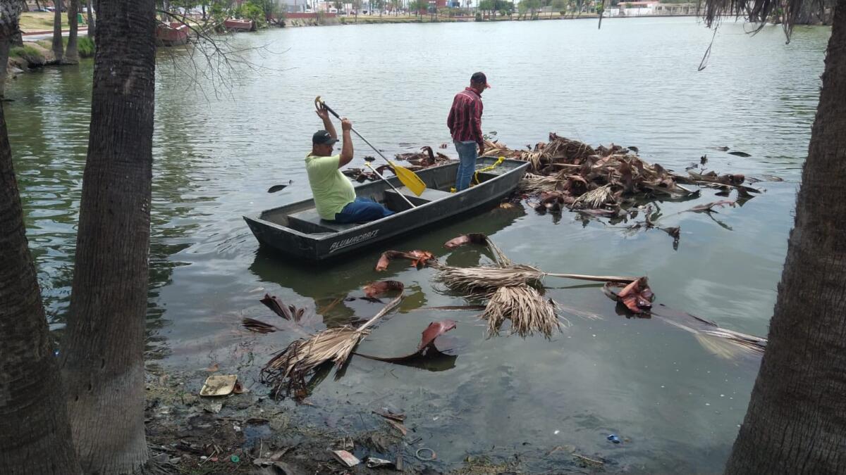 El alcalde Beto Granados lidera limpieza del laguito para disfrute de las familias matamorenses