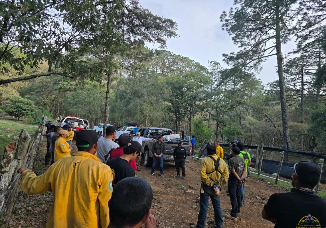 El Plan Tamaulipas coordina acciones para controlar incendio forestal en la Reserva de la Biosfera El Cielo