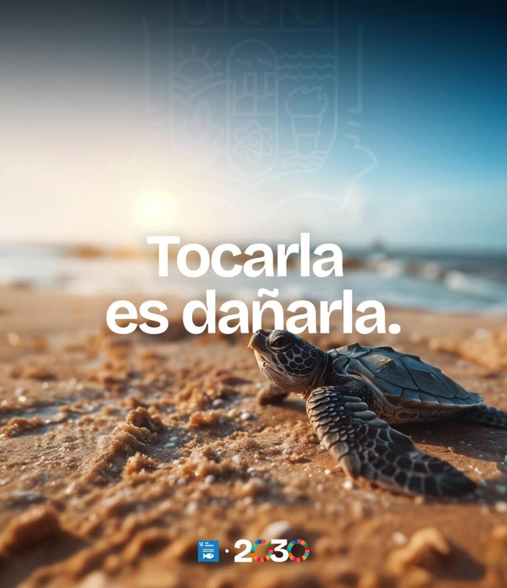 El Gobierno Municipal de Matamoros llama a cuidar y conservar a las tortugas marinas durante su temporada de anidaciónEl Gobierno Municipal de Matamoros llama a cuidar y conservar a las tortugas marinas durante su temporada de anidación
