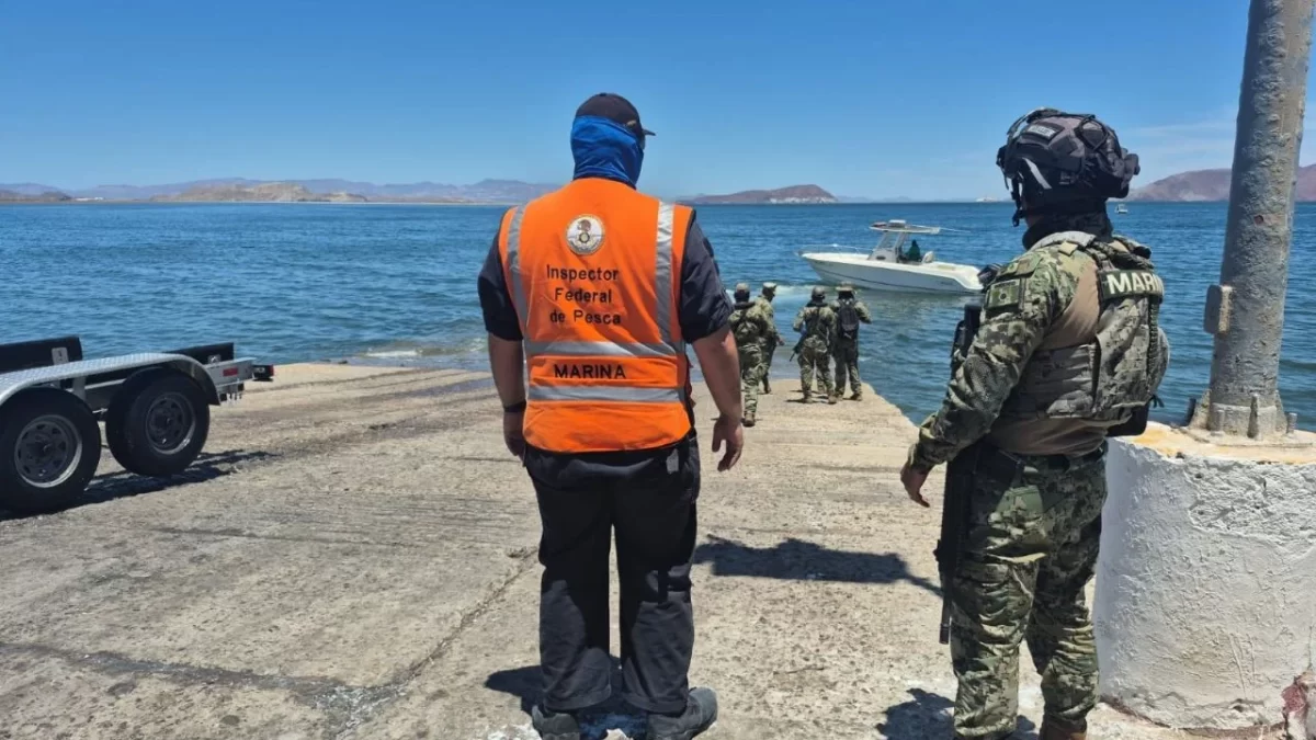 Rescatan a ballena jorobada que estaba enmallada en redes de pesca en Baja California