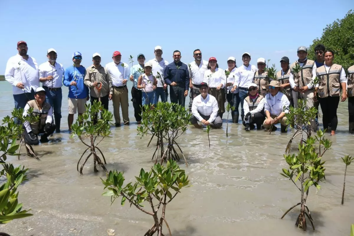 Tamaulipas Refuerza la Protección de su Litoral con Programas Educativos y Ambientales