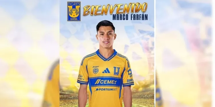 Tigres oficializa a Marco Farfán: refuerzo clave para el Apertura 2025