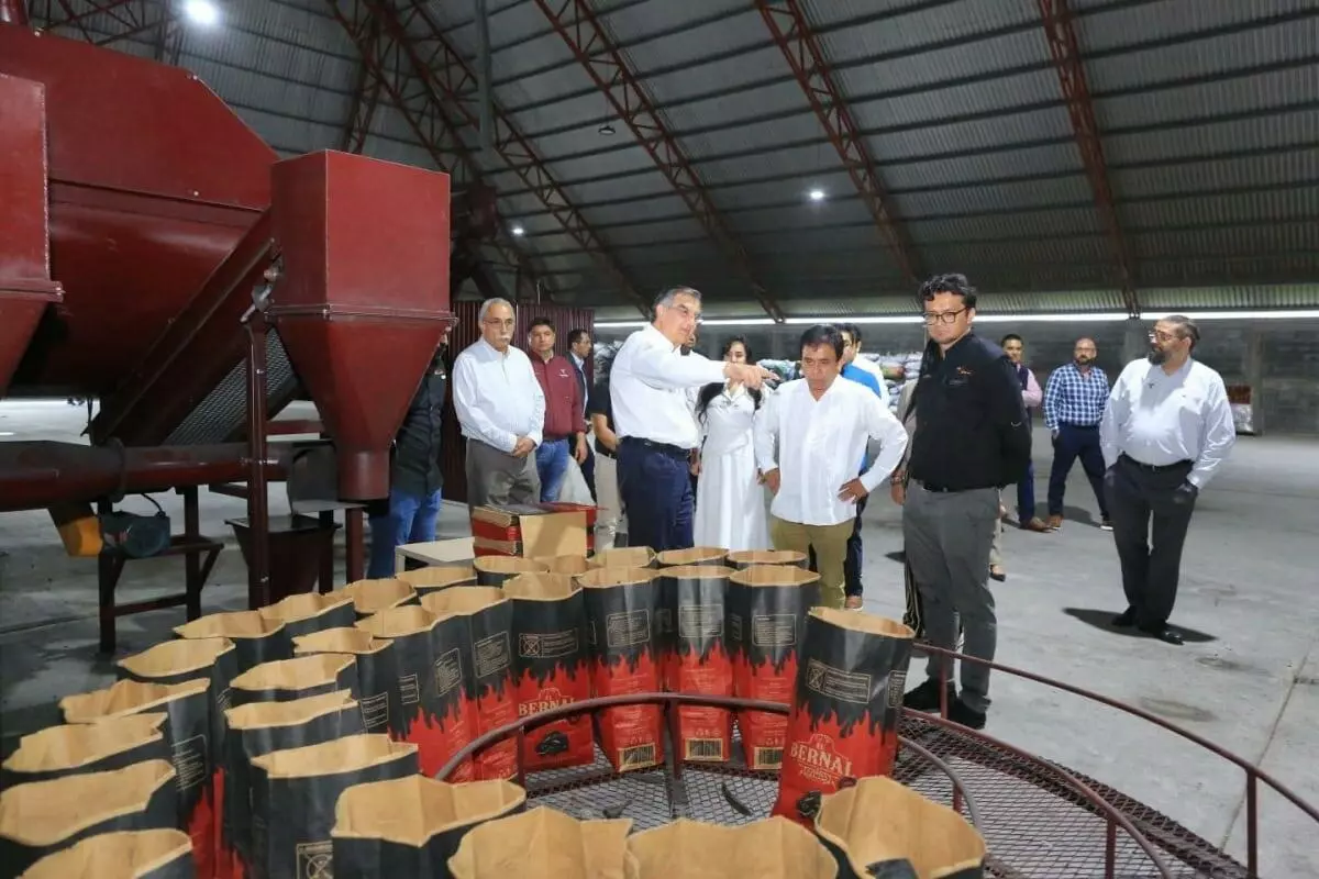 Inversión de 6.5 MDD impulsa avance de planta de combustibles limpios en Tamaulipas