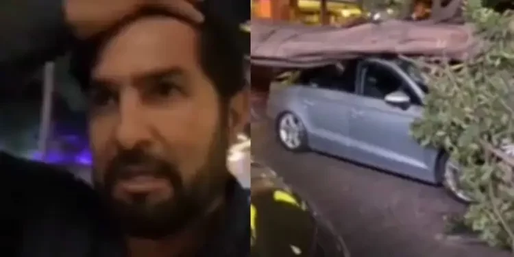 Cae un árbol y aplasta el carro de Arturo Carmona