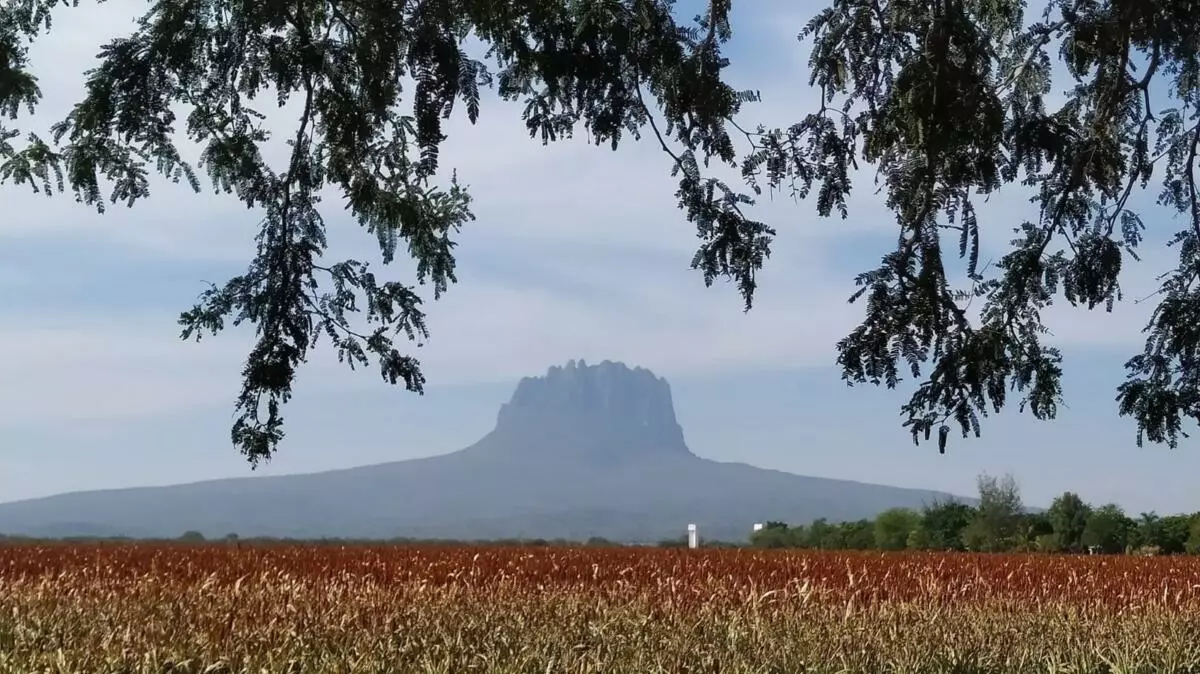 Analizan en Tamaulipas estrategias para detonar el turismo en zonas rurales