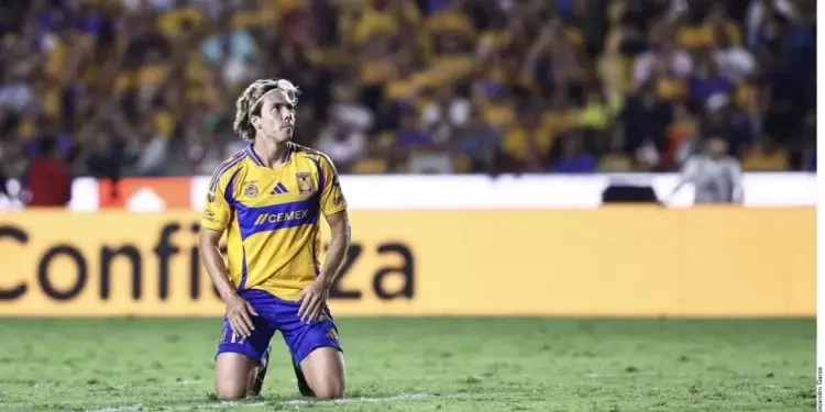 Tigres: los borrados que pierden minutos y valor en la cancha