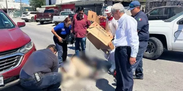 Aparatosa colisión deja a motociclista lesionado en Reynosa, Tamaulipas