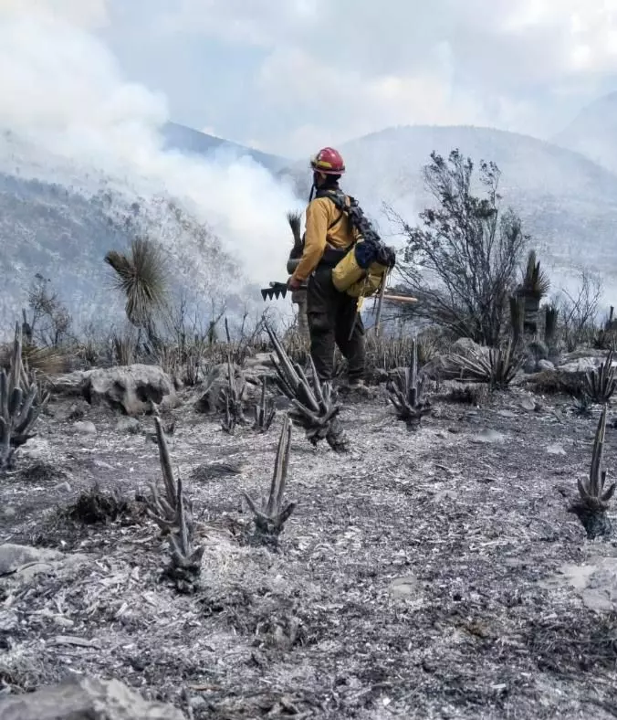 Controlan y liquidan incendio forestal en Bustamante, Tamaulipas