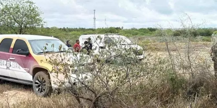 Localizan restos humanos en un predio baldío de Reynosa, Tamaulipas