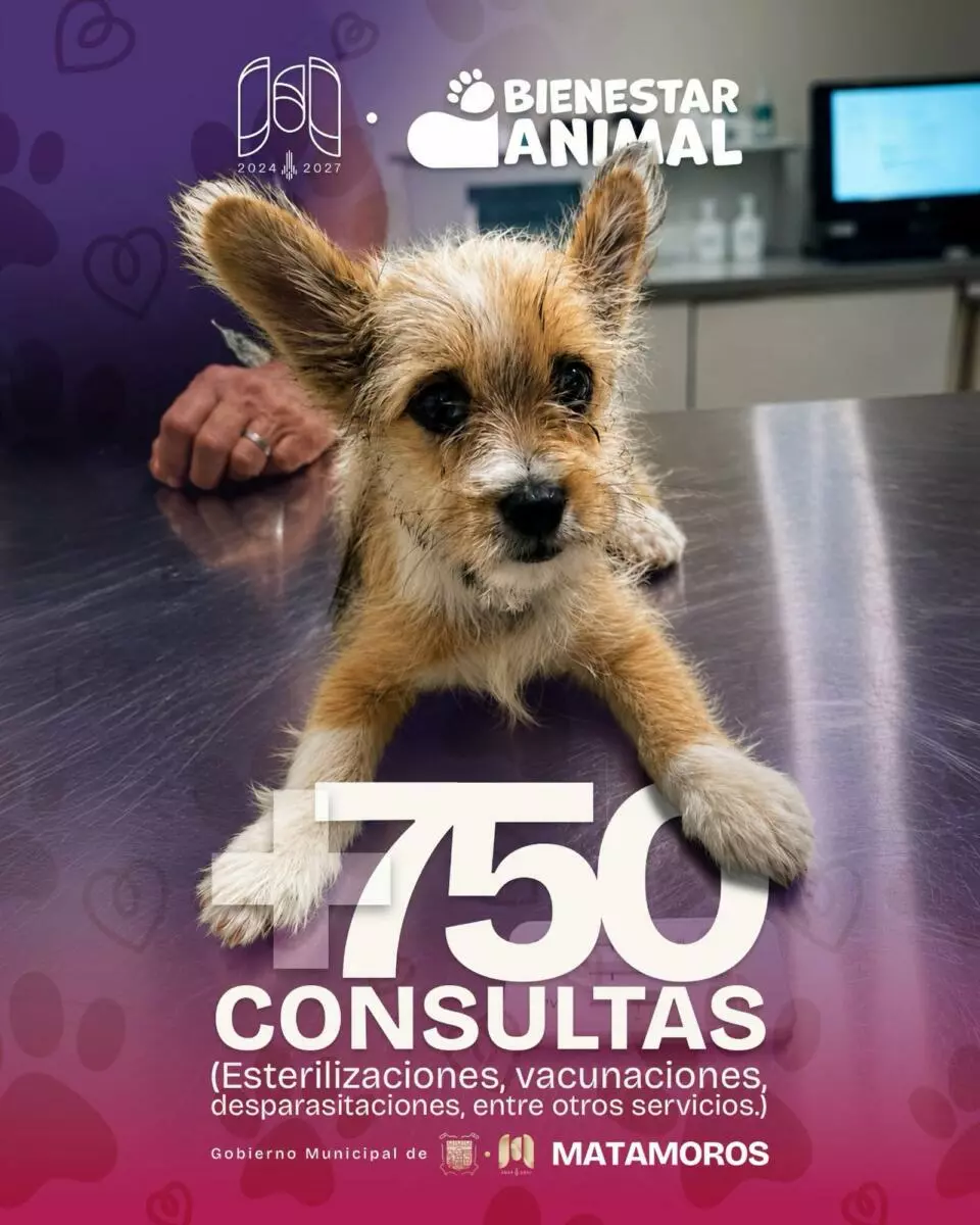 El alcalde Beto Granados fortalece acciones de Bienestar Animal en Matamoros