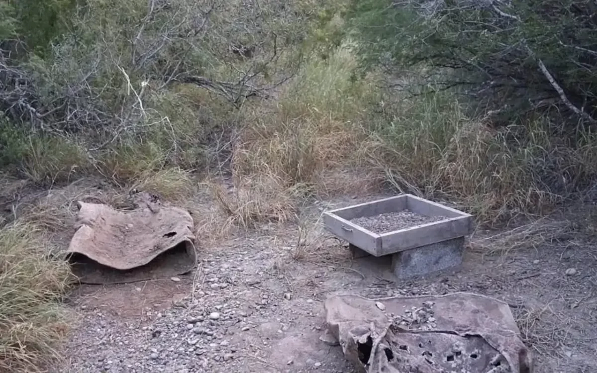 Colectivo localiza nueva fosa clandestina en Reynosa; suman 31 hallazgos durante 2026