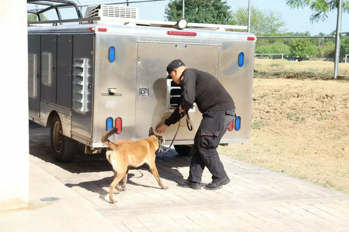Binomios K-9 de la Guardia Estatal destacan a nivel nacional y obtienen primeros lugares en certificación canina