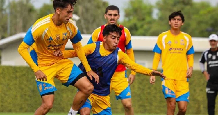 La regla de menores presiona a Tigres en el cierre del torneo regular