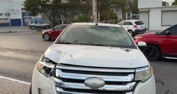 Camioneta choca en periférico, derriba árboles y tripulantes escapan en Matamoros, Tamaulipas