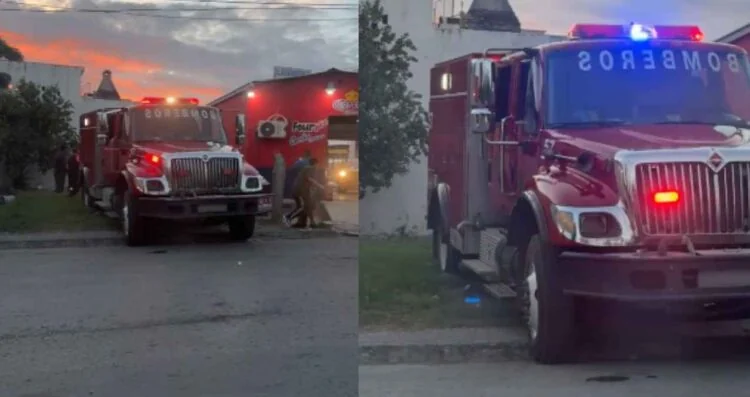 Reportan a hombre con picaduras de abejas en Matamoros, Tamaulipas